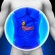 Gallbladder Pain (Gall Bladder Pain)